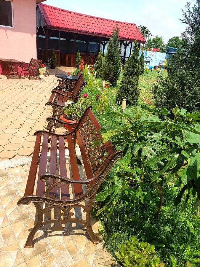 Vila Fery Costinesti Exterior foto
